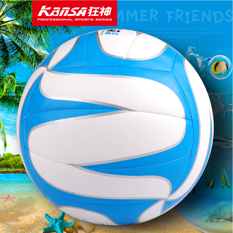 Ballon de volley - Ref 2010178 Image 3