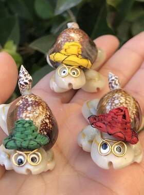 草帽乌龟小博士天然海螺工艺品