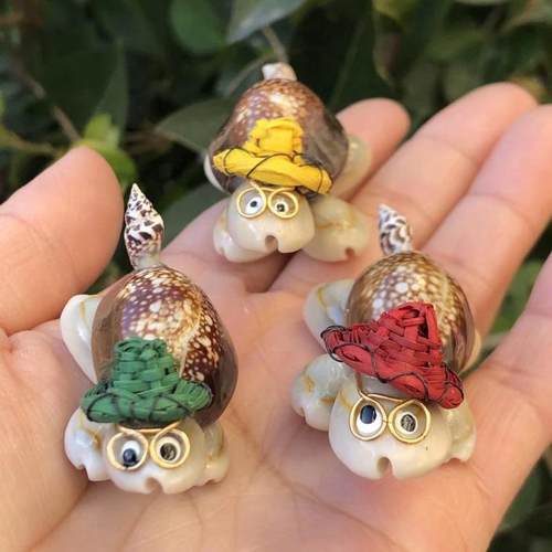 草帽乌龟小博士天然海螺工艺品