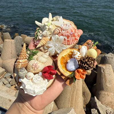 天然贝壳海螺创意木片冰箱贴