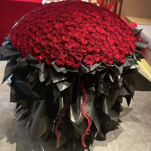 超大花束520朵高原红玫瑰求婚大花束上海同城鲜花配送生日订花店