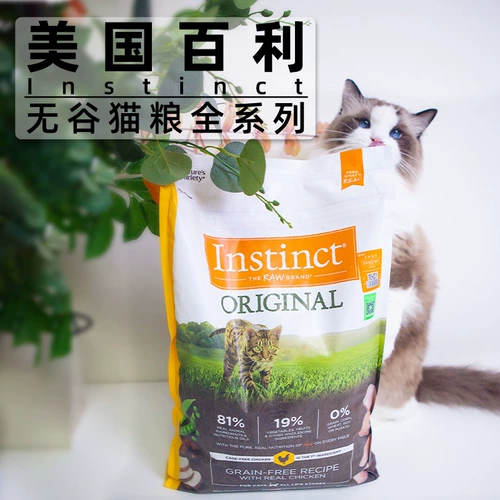 Инстинкт импорта пищи Bailei Cat.