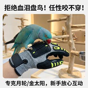 月轮鹦鹉防咬手套防刺防扎防抓养鸟耐磨训鸟专用宠物训练鹦鹉耐用