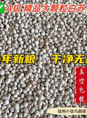 东北大颗粒白苏子 质量好 包邮 当年新粮【2025】玉鸟食