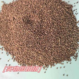 鸟食饲料颗粒东北新紫苏子包邮鸟粮玉鸟黄鸟包邮真空包装