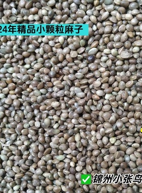 2025年新粮东北线麻子小颗粒麻子鹦鹉仓鼠鸟粮玉鸟鸟食