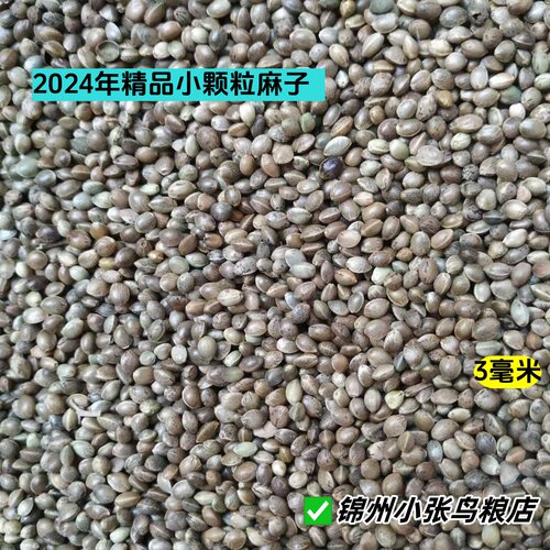 2025年新粮东北线麻子小颗粒麻子鹦鹉仓鼠鸟粮玉鸟鸟食
