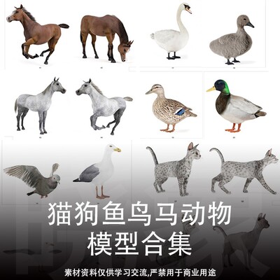 3dMax模型鱼缸鸟笼鸽子鸳鸯爬行动物狗猫马等合集vray渲染带贴图