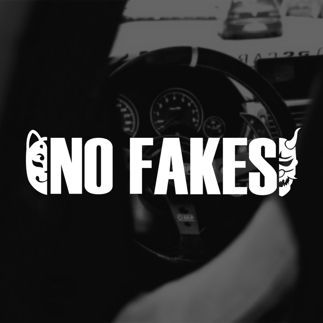 NOFAKES改装反光防水风挡车贴