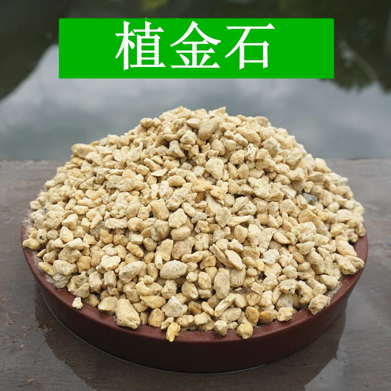 Stone plant orchid Dedicated Japan Satsuma orchid Material Burden Gentleman Moth orchid Paving Stonein the Flower delivery/Flowers simulation/Plants gardening , Gardening supplies , Gardening Fertilizer/Nutrient/Nutrient solution  category - from Buy2taobao.com to provide professional Taobao agent buy service