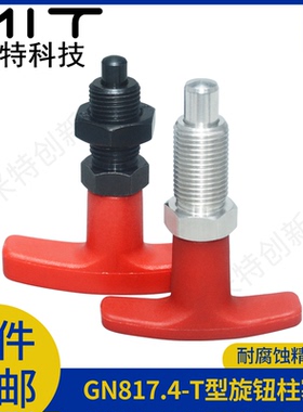 不锈钢T型手柄旋钮柱塞XSTZ/XNHF自锁分度销弹簧螺纹销定位柱PTX