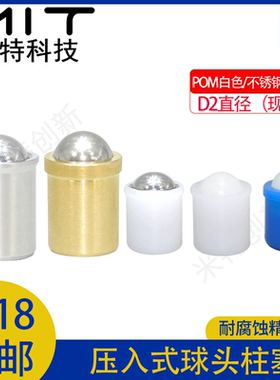 PFSSN/PFPPN球头柱塞树脂螺柱不锈钢压入式固定位玻珠BSZP/BSJT