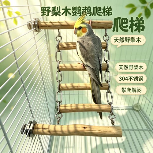 鹦鹉梨木爬梯+全304不锈钢配件