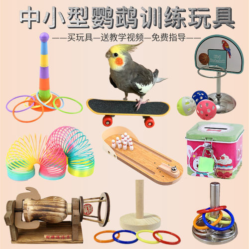 益智训练套圈滑板存钱罐道具鹦鹉