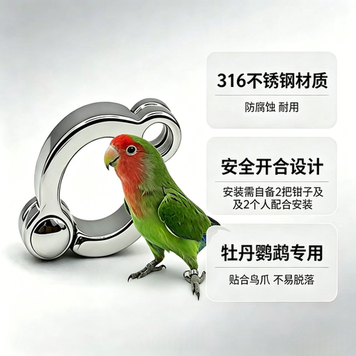 牡丹鹦鹉专用脚环安全不伤脚 316不锈钢脚环免费刻字刻号码