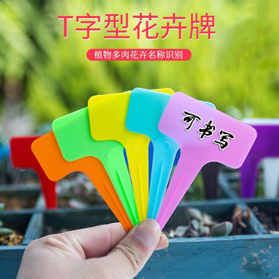园艺标签花卉植物标签插地标牌防水园艺标识牌一体10*6cmT花标签