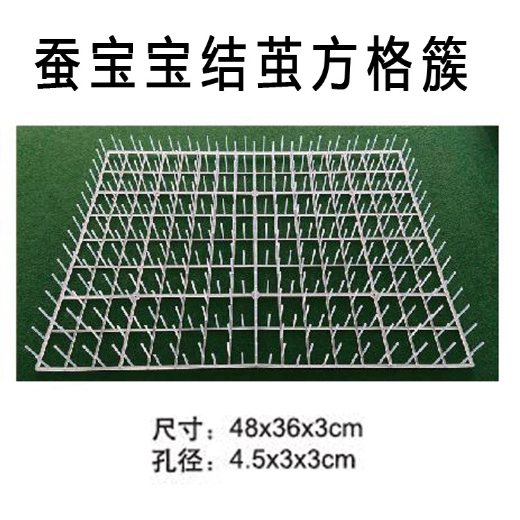 蚕宝宝结茧子蚕网 结茧网 彩蚕结茧网 蚕结茧 蚕宝宝方格簇 蚕蔟