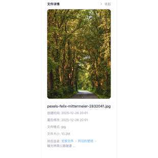 暖光林荫公路隧道治愈系森林绿光小路森系高级感超清4K手机壁纸