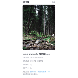 深绿森林溪谷秘境清冷治愈森系氛围感小众高级质感超清4K手机壁纸