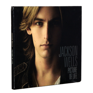 Picture Wells Life 流行摇滚歌曲CD 正版 生命之画 Jackson