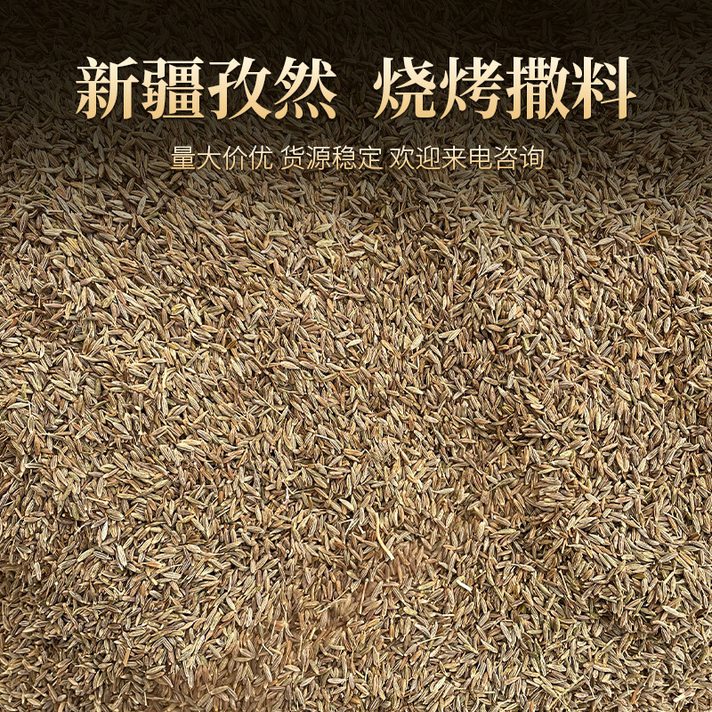 国产新疆孜然粒50斤印度枯茗子淄博烧烤孜然粉500克半