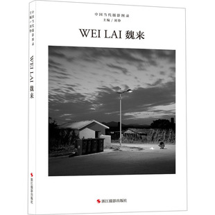 中国当代摄影图录 魏来 浙江摄影出版社 刘铮 编 摄影艺术(新) KC