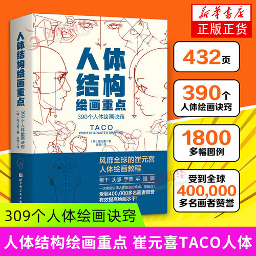 人体结构绘画重点 (韩)崔元喜 提升角色表现吸引力人体绘画指南线条形状角色更具说服力美术学画画艺术 taco人体结构绘画教程书籍K