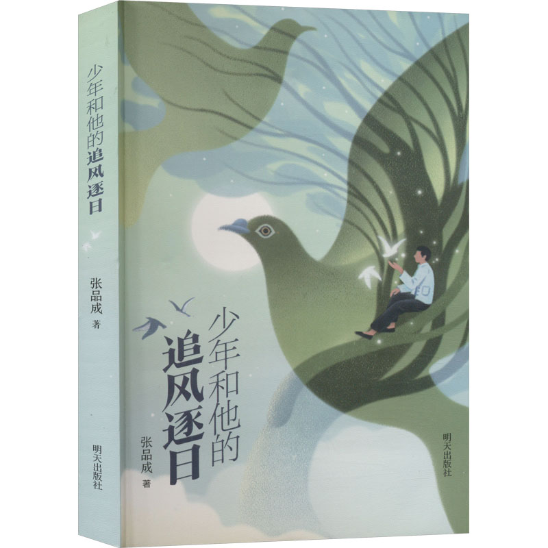 少年和他的追风逐日