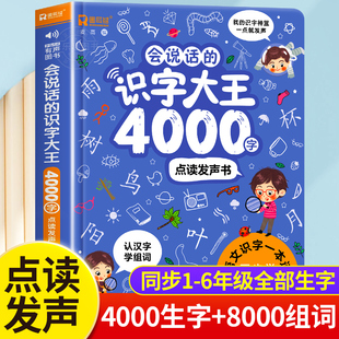 早教有声书学前趣味学习汉字2000象形识字3000字儿童有声书幼儿认字启蒙卡X 8000词手指点读发声书会说话 会说话 识字大王4000字
