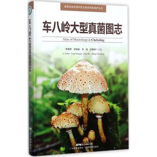 车八岭大型真菌图志 广东科技出版社 李泰辉 等 主编 生命科学/生物学G