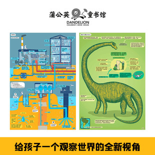 地下水下手绘百科绘本儿童科普知识图画书6-12岁自然地理探索立体书翻翻书揭秘地球内部亲子阅读K