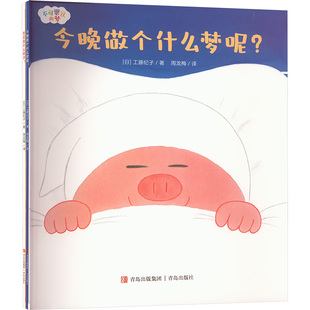 不可思议的梦(平装全2册) 青岛出版社 (日)工藤纪子 著 周龙梅 译 绘本/图画书/少儿动漫书
