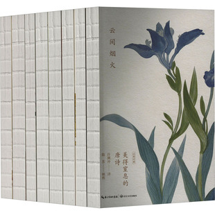 译长江文艺出版 中国古诗词KC 挚美中英双语诗画集 吴俣阳 闫红 陆苏 唐诗宋词诗经 全8册 社文学 许渊冲 解析；许渊冲 美得窒息