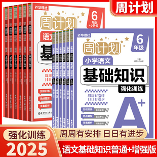 2025新版华理社周计划语文基础知识训练小学生一年级二年级三年级四年级五年级六年级上下册人教版全国通用同步专项练习册思维训练
