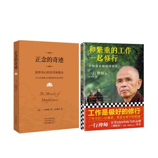 和繁重的工作一起修行：平和喜乐地成就事业2022+正念的奇迹 河南文艺出版社 [法] 一行禅师 著 向兆明 译等  KC