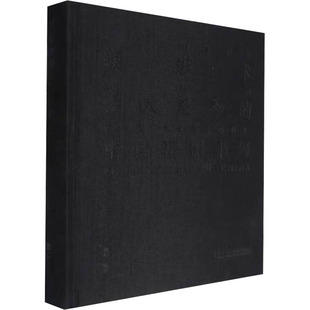 摄影术传入至今的中国摄影书写 中国美术学院出版社 高初 编 摄影艺术（新）  KC