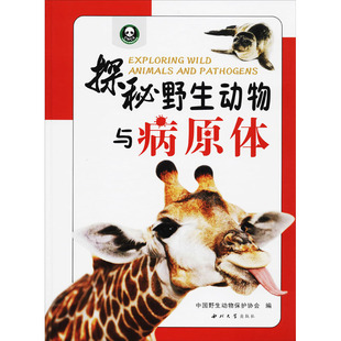 正版书籍逃不出的怪圈圆和其他图形儿童数学几何启蒙小学生课外阅读 QG