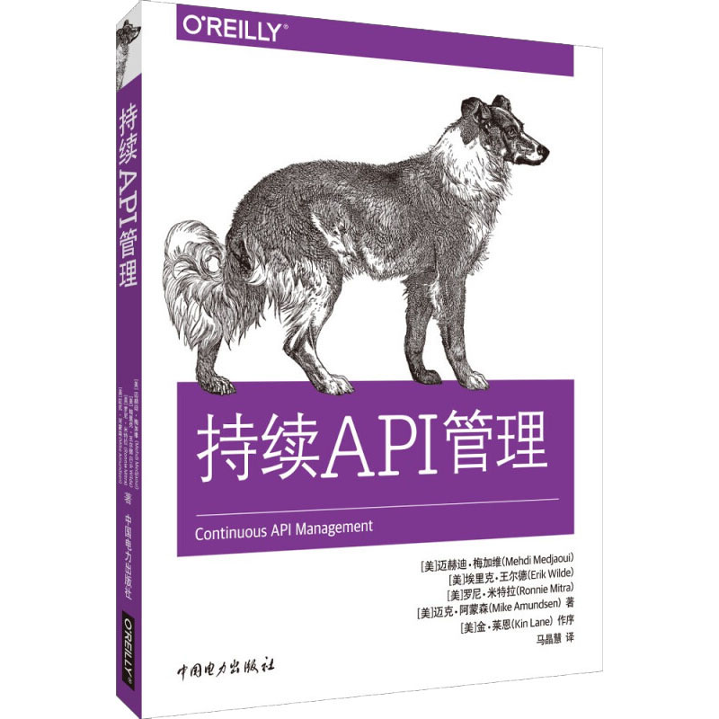 持续API管理 中国电力出版社 (美)迈赫迪·梅加维 等 著 马晶慧 译 程序设计（新）G图片