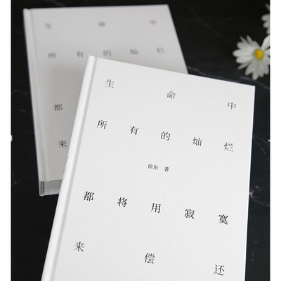 生命中所有的灿烂都将用寂寞来偿还 王潮歌作序 一部“野生”诗人  CX