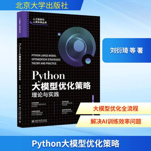 Python大模型优化策略 理论与实践