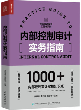内部控制审计实务指南 人民邮电出版社 高雅青,李三喜,施莹华 编 QG
