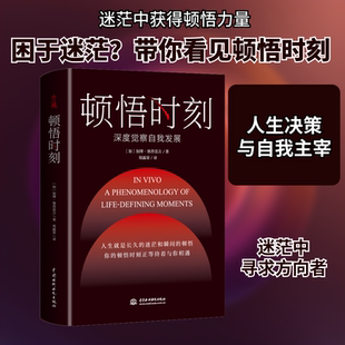 顿悟时刻 中国水利水电出版社 (加)加博·塞普雷吉 著 郑露荣 译 心理学  KC