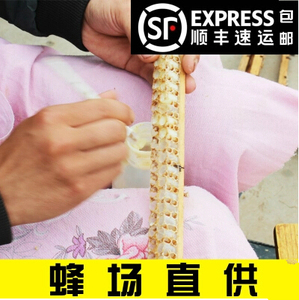 2024鲜蜂王浆 蜂皇浆油菜春浆蜂场自产全程冷链顺丰 郧蜂源公社