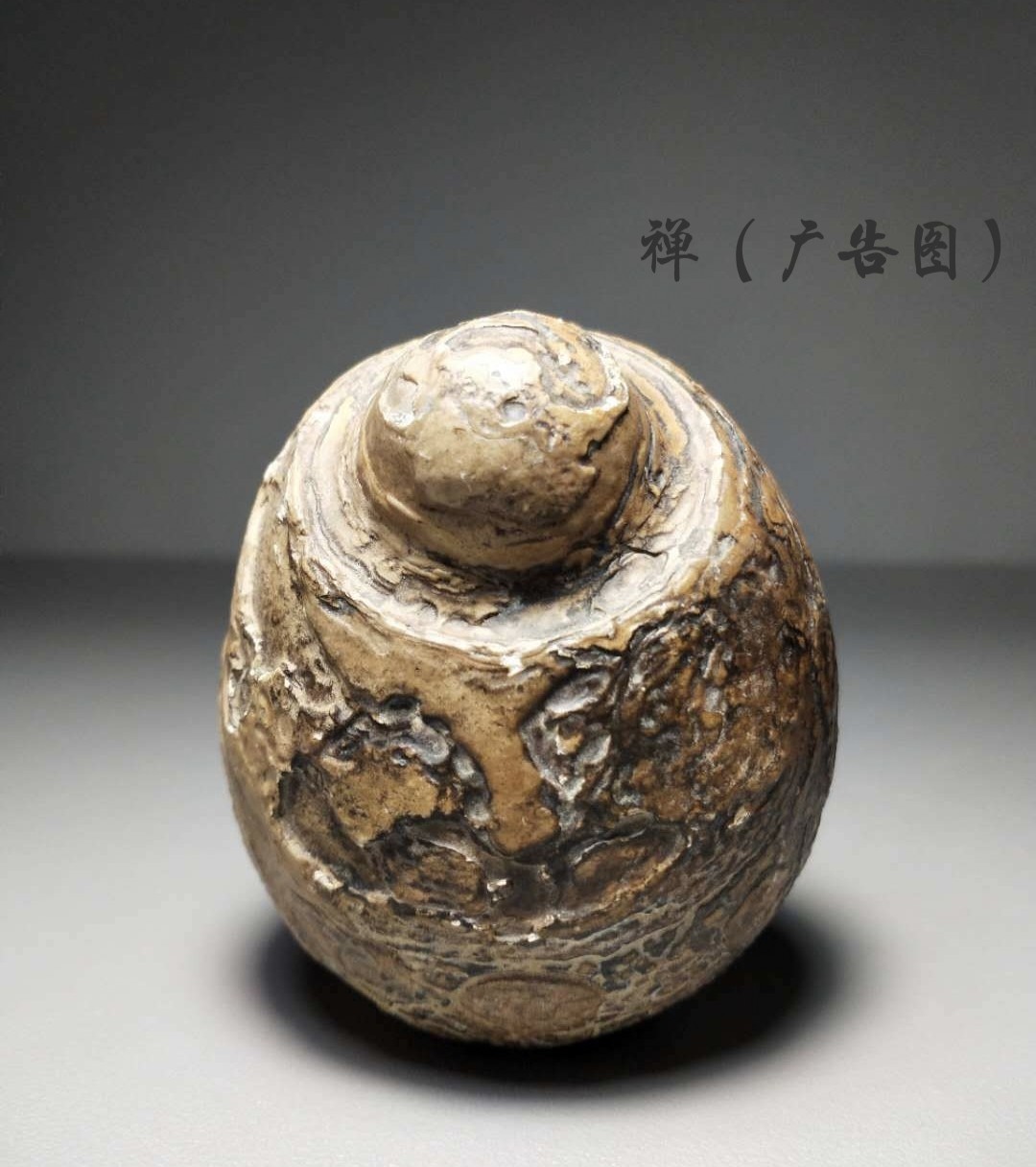 33特价非洲产地原石地表戈壁石古磐石观赏石景观文房奇石桌面摆件