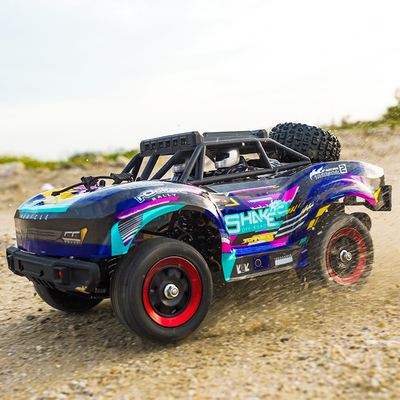 专业无刷遥控车四驱赛车