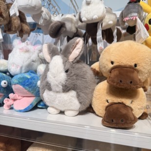 NITORI宜得利 25年多款毛绒玩偶 鸭嘴兽变色龙 小肥啾兔子球抱枕