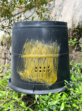 诱蜂桶加厚五个装圆形透气黑色塑料桶涂蜡招蜂收蜂桶十养蜂专用桶