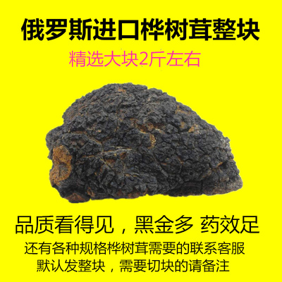 俄罗斯野生俄罗斯白桦茸