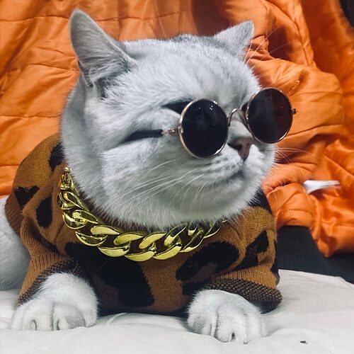 现货猫咪墨镜搞怪太阳镜