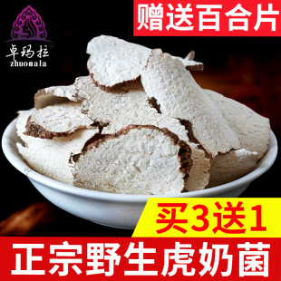 老虎奶乳菌片虎乳灵芝乳菇 买3送1 虎奶菌100g